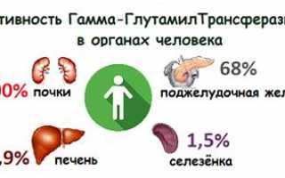 Показатель ГГТ в анализе крови