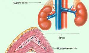 Признаки заболеваний надпочечников