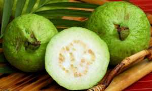 Фейхоа при панкреатите