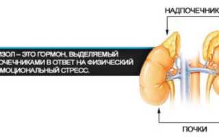 Когда и как сдавать анализ на кортизол?
