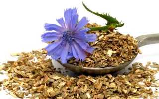 Цикорий при панкреатите