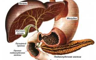 Лечение поджелудочной железы и печени травами
