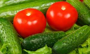 Помидоры и огурцы при панкреатите