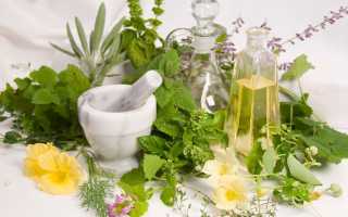 Народное лечение простатита и аденомы простаты