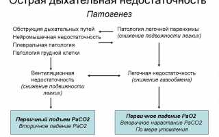 Почему возникло чувство нехватки воздуха, как облегчить состояние