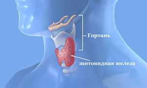 Чем опасны узлы в щитовидной железе?