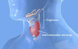 Чем опасны узлы в щитовидной железе?