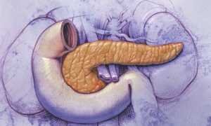 Можно ли человеку жить без поджелудочной?