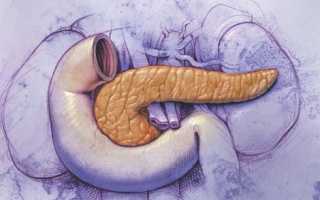 Можно ли человеку жить без поджелудочной?