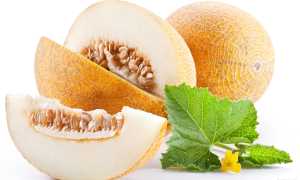 Дыня при панкреатите