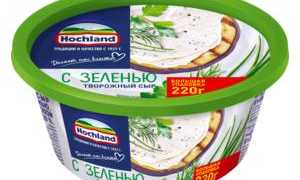 Сыр при панкреатите