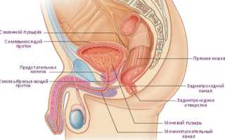 Как диагностировать простатит?