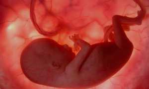 Таблица ХГЧ при ЭКО