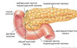 Лечение панкреатита народными средствами