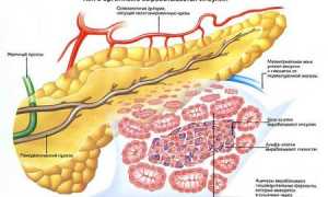 Лечение поджелудочной железы лекарствами