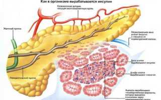Лечение поджелудочной железы лекарствами