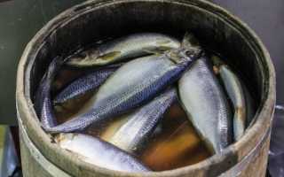 Можно ли есть селедку при панкреатите?