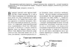 О свойствах витамина В17 (он же амигдалин)