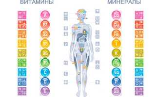 О важности витаминов и микроэлементов