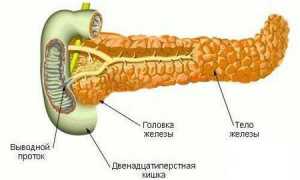 Что делать при болях в поджелудочной железе?