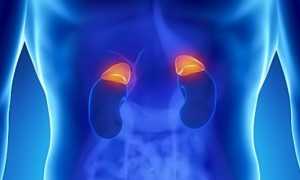 Острая надпочечниковая недостаточность у детей и взрослых