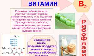 Для чего витамин В2 нужен нашему организму и какую именно пользу он приносит