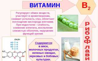 Для чего витамин В2 нужен нашему организму и какую именно пользу он приносит