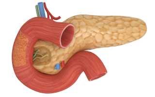 Травы при панкреатите поджелудочной железы