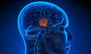 Мономерный пролактин