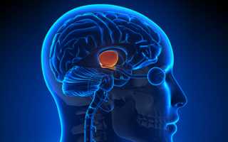 Мономерный пролактин