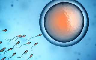 Что такое астенозооспермия?