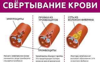 Анализ крови на свертываемость