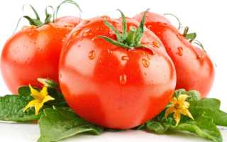 Помидоры при панкреатите