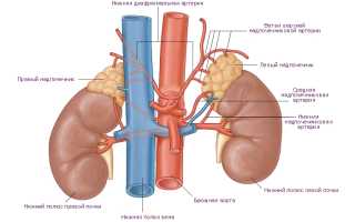 Опухоль надпочечников