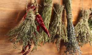 Трава рыжей от сахарного диабета