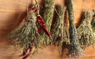 Трава рыжей от сахарного диабета