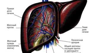 Диффузия печени и поджелудочной