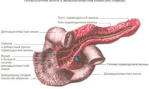 Признаки болезней поджелудочной железы