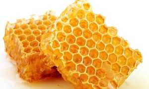 Прополис при панкреатите