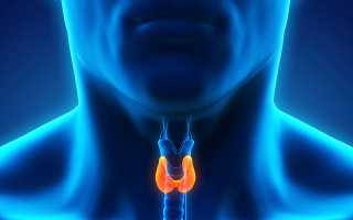 Какой врач проверяет щитовидку