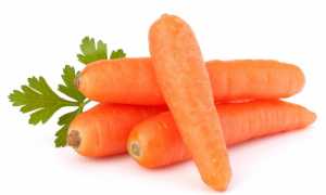 Можно ли есть морковь при панкреатите?