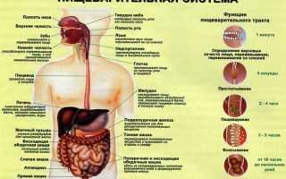 Холецистопанкреатит: острый и хронический