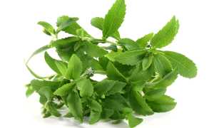 Травы при диабете