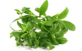 Травы при диабете