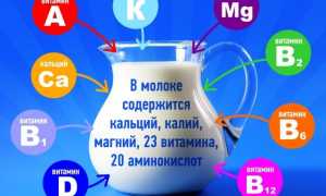 Какие витамины содержатся в молоке?