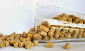 Можно ли употреблять отруби при панкреатите?