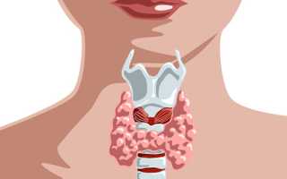 Какие анализы сдают для проверки щитовидки?