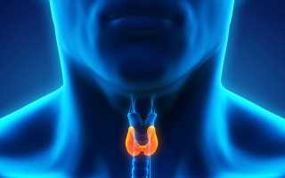 Лапчатка белая при щитовидке