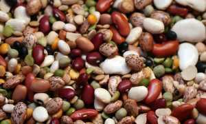 В чем содержатся эстроген и прогестерон