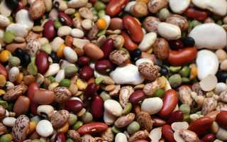 В чем содержатся эстроген и прогестерон